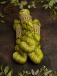 LITLG Singles Green Oakmoss